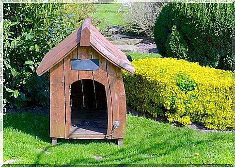 Doghouse in the garden