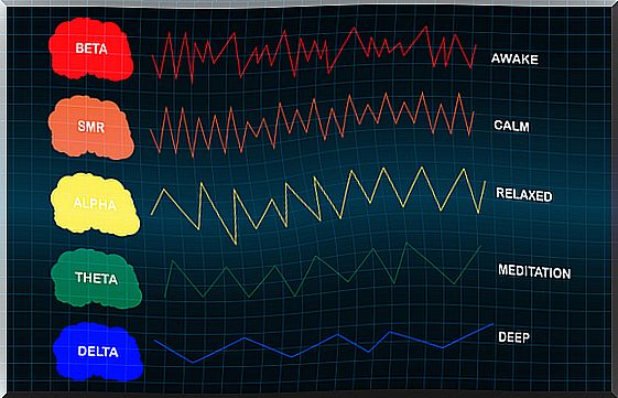 Electroencephalogram with brains.