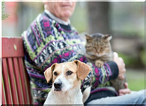 Benefits of pets in the elderly