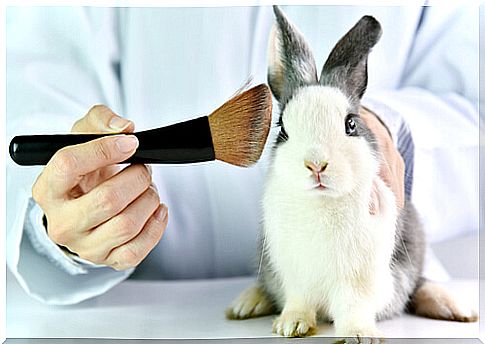 Cosmetic tests on animals violate your rights.