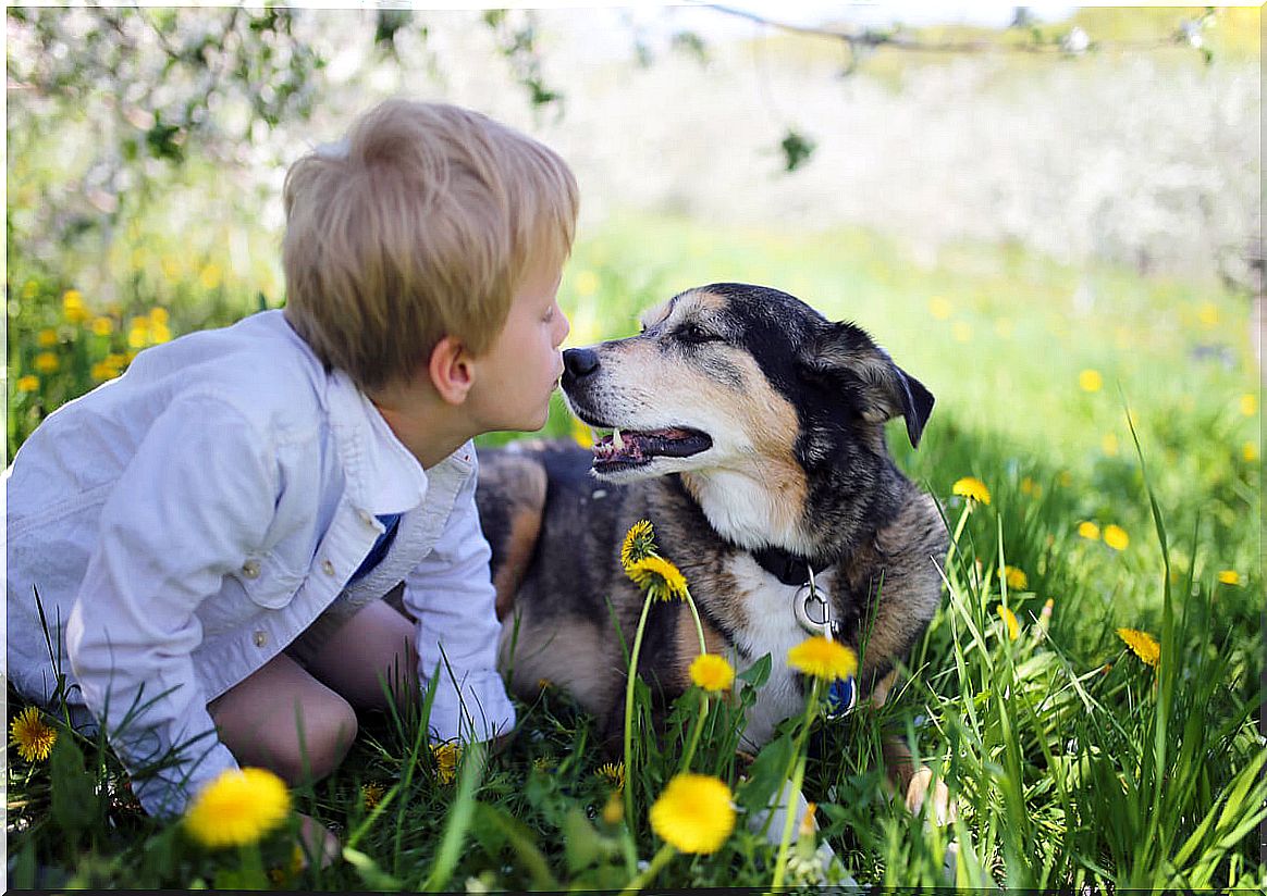 A happy dog ​​and child.