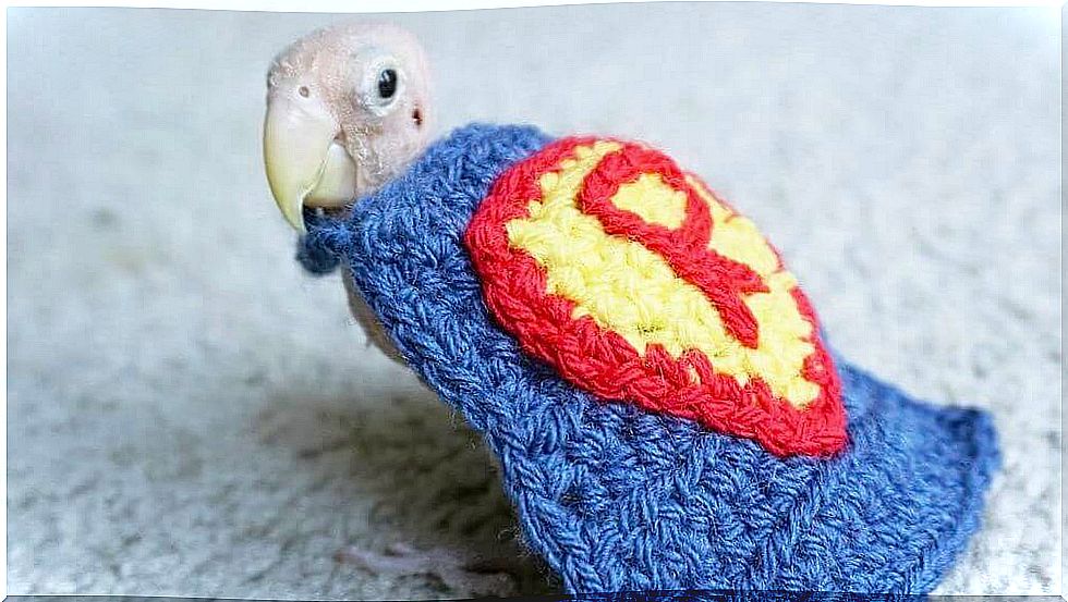 Rhea in a Superman cape.