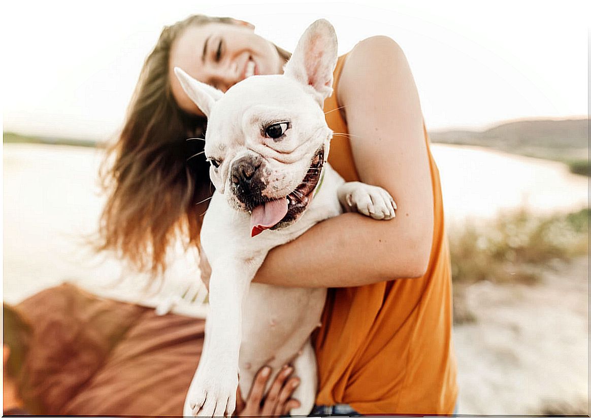 A dog on the beach with its owner.