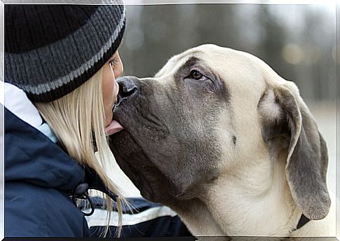 perro y dueña