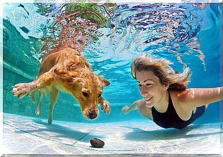 Thanks to a Russian invention, dogs will be able to breathe underwater