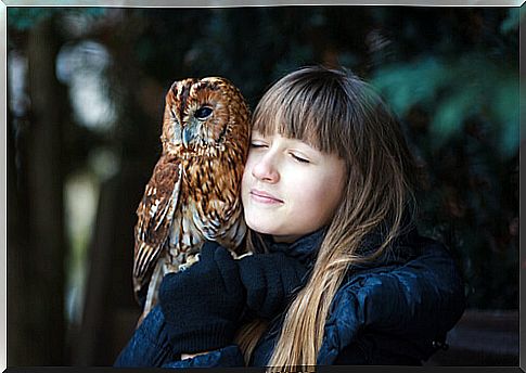 Owl as a pet