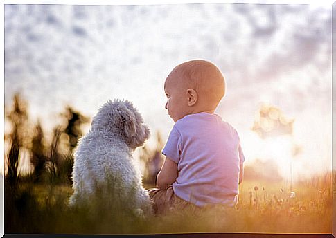 Baby with small dog sitting in the park.