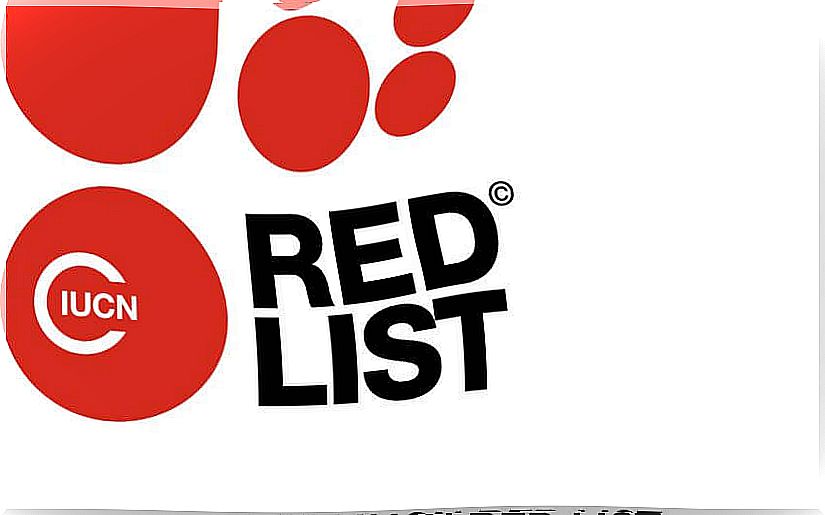 The Red Book: the Red List of threatened species